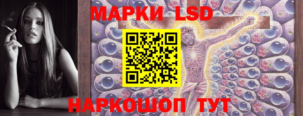 МЕФ Котельники