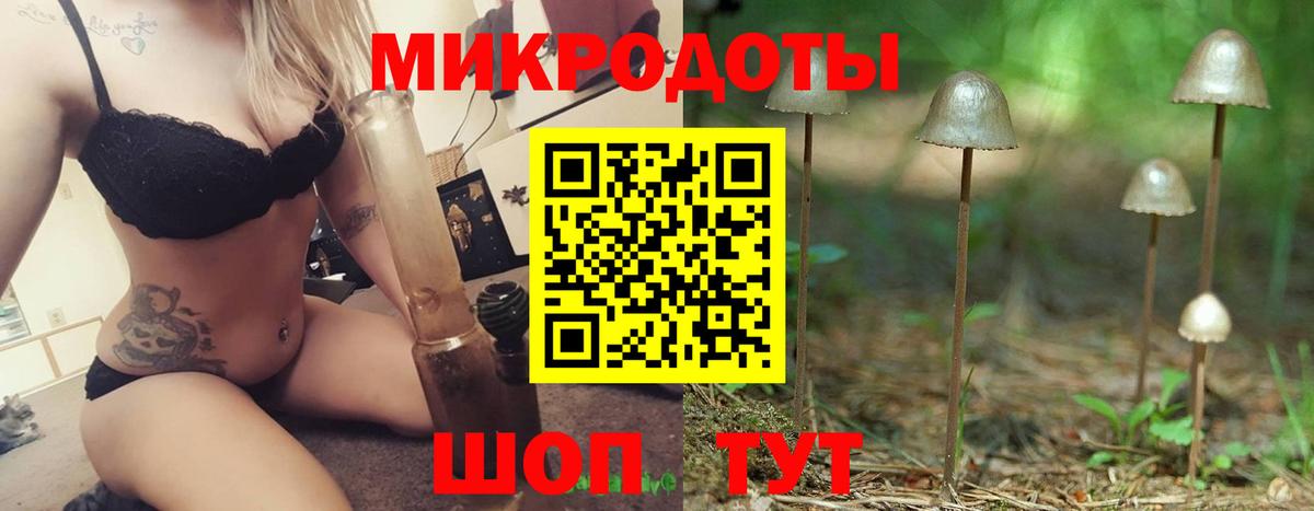 Котельники  Галлюциногенные грибы MAGIC MUSHROOMS  Галлюциногенные грибы Psilocybe  Вход с VPN 